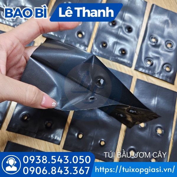 Túi bầu ươm cây xếp hông 2 bên