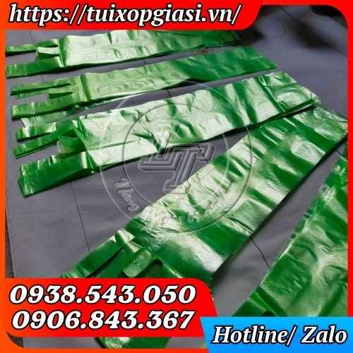 Túi đựng 3 ly gai