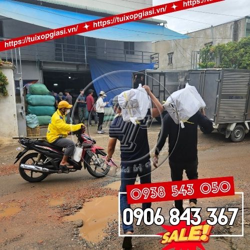 Túi đựng rcas thải y tế giá sỉ đủ màu