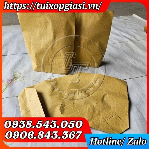 Túi giấy kraft vàng