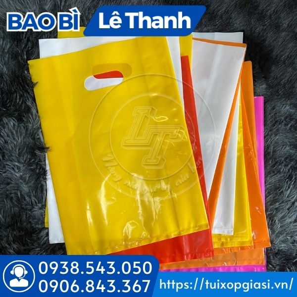 Túi hột xoài