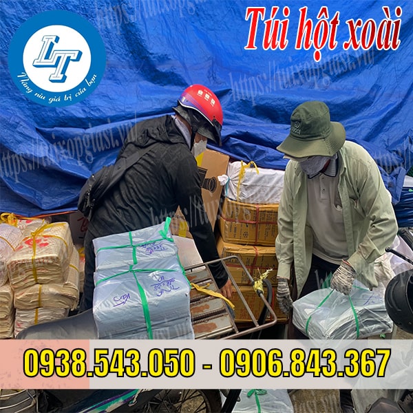 Túi hột xoài đủ kích cỡ