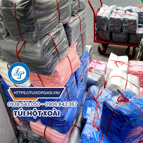 Túi hột xoài giá rẻ bình chánh hcm