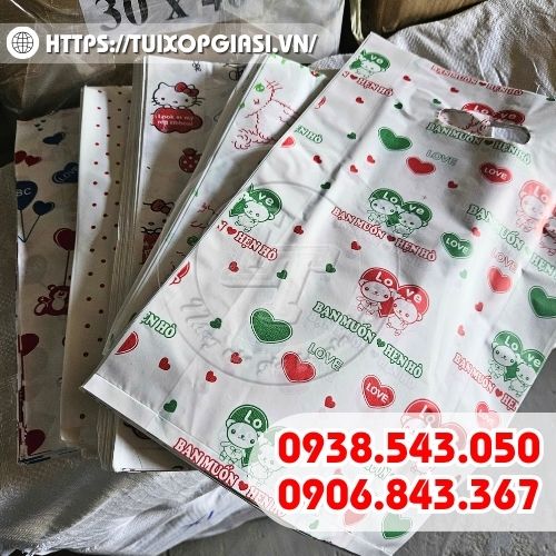 Túi hột xoài HD in hình sẵn giá sỉ hỗ trợ xuất VAT