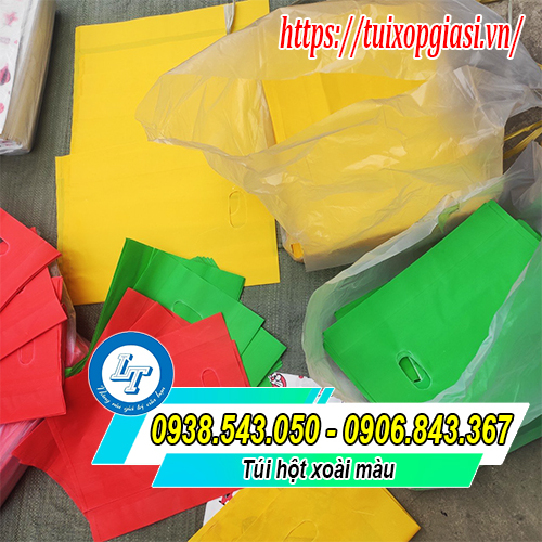 Túi hột xoài HD màu