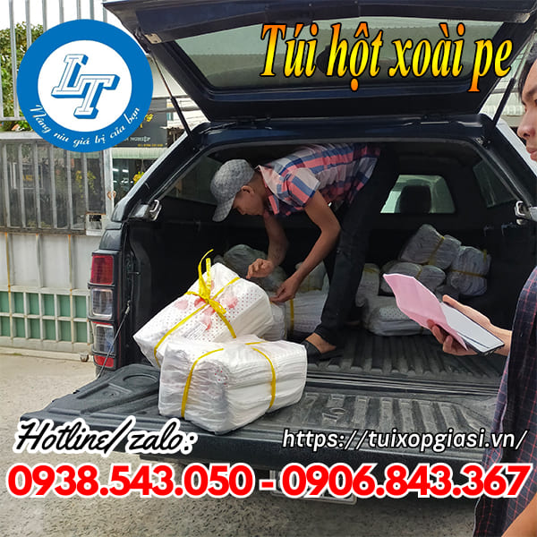 Túi hột xoài pe bóng đẹp giá rẻ