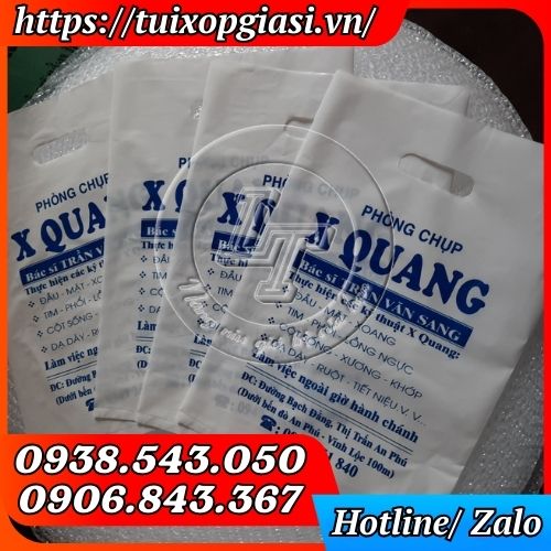 Túi hột xoài pe in