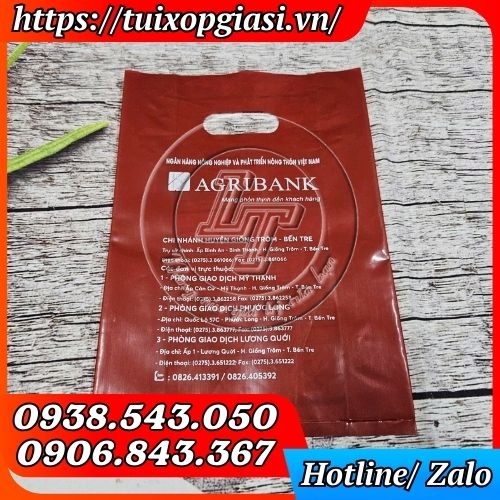 Túi hột xoài pe in