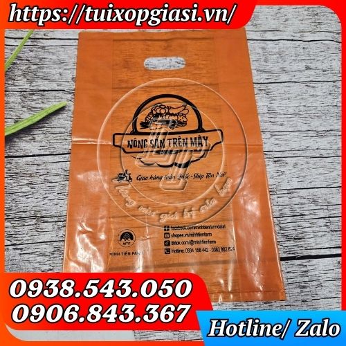 Túi hột xoài pe in