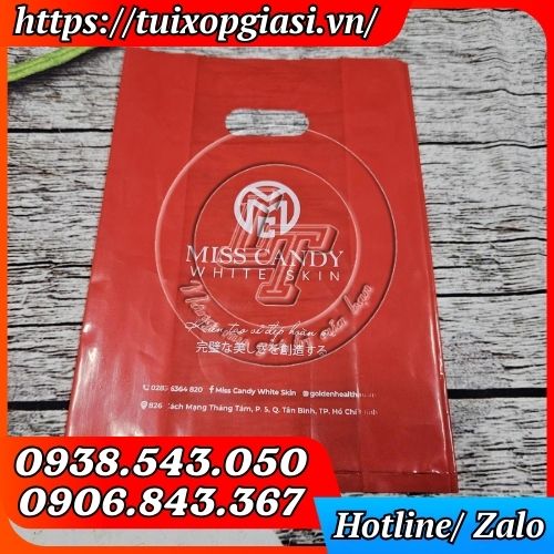 Túi hột xoài pe in