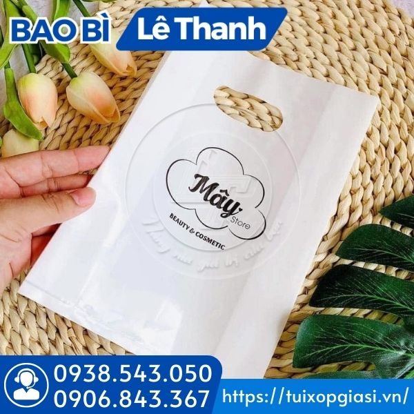 Túi hột xoài pe in