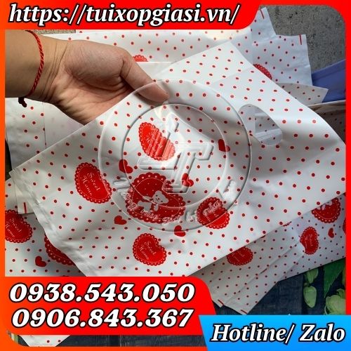 Túi hột xoài pe in