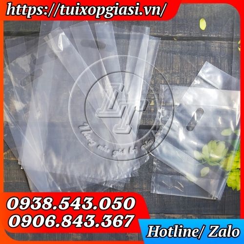 Túi hột xoài pe trong