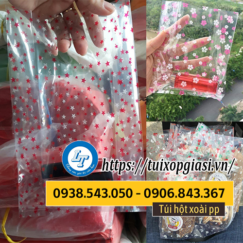 Túi hột xoài pp