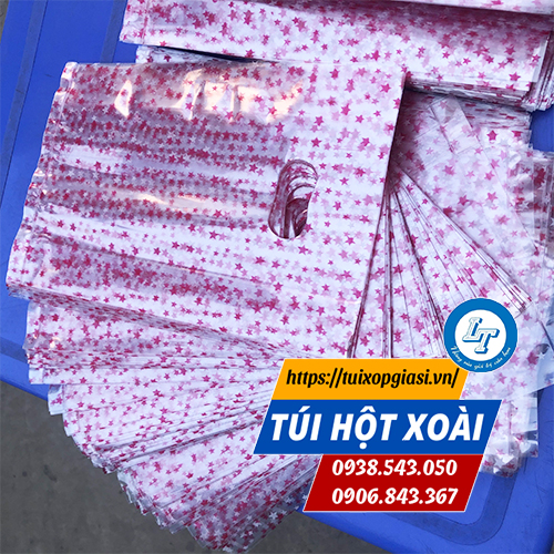 Túi hột xoài pp