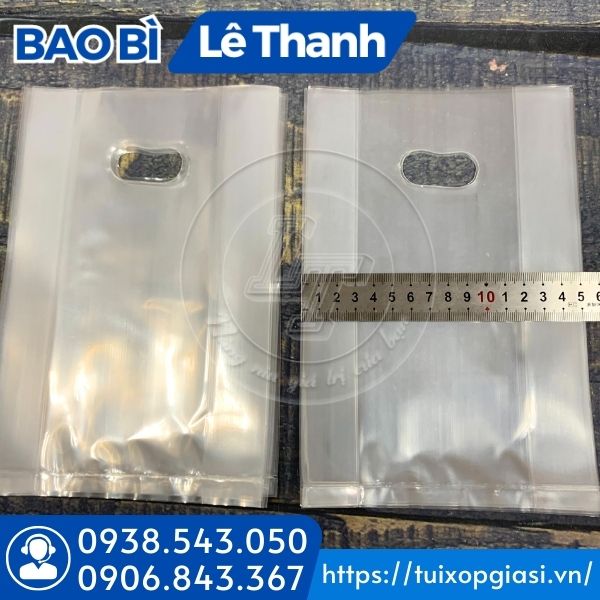 Túi hột xoài pp trơn