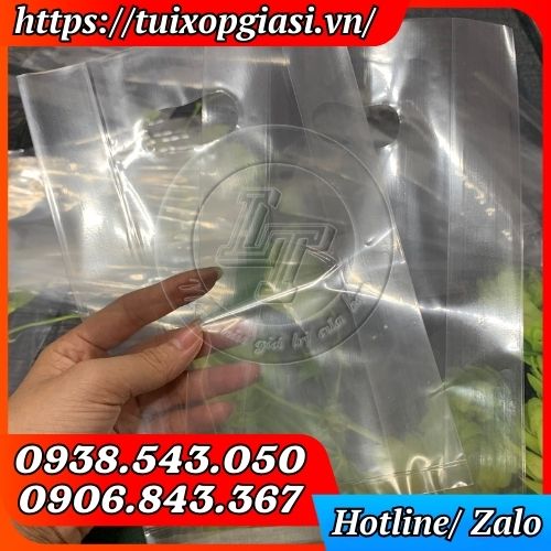 Túi hột xoài pp trong