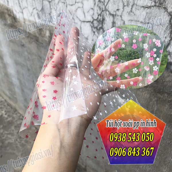 Túi hột xoài pp in hình có xếp ly bên hông