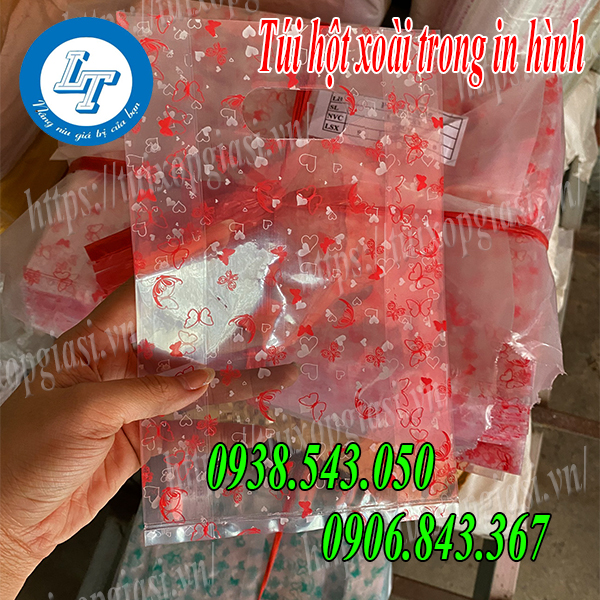 Túi hôt xoài trong in hình