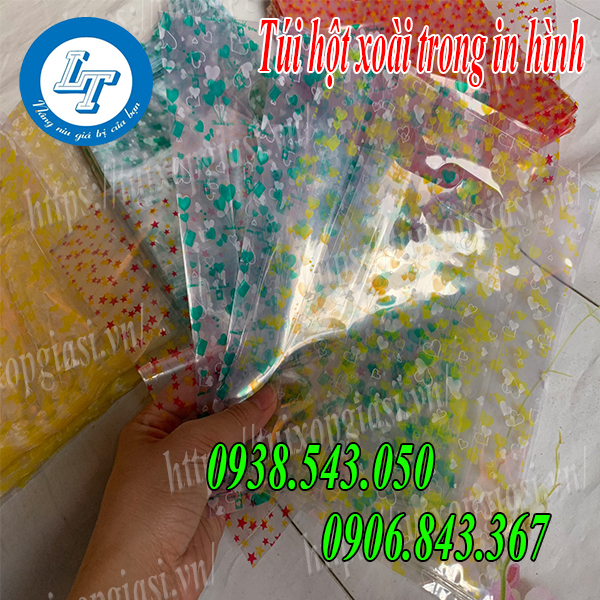 Túi hột xoài trong in hình