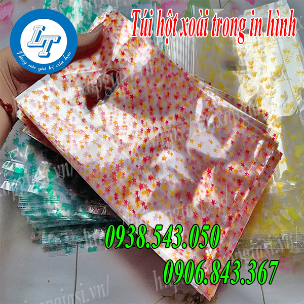 Túi hột xoài trong in hình