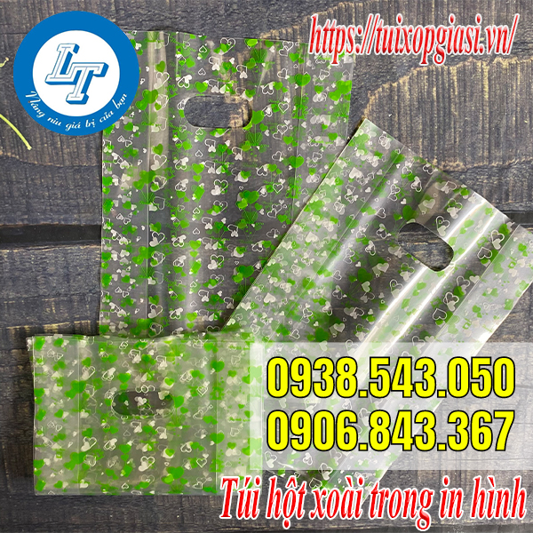 Túi hột xoài trong in hình