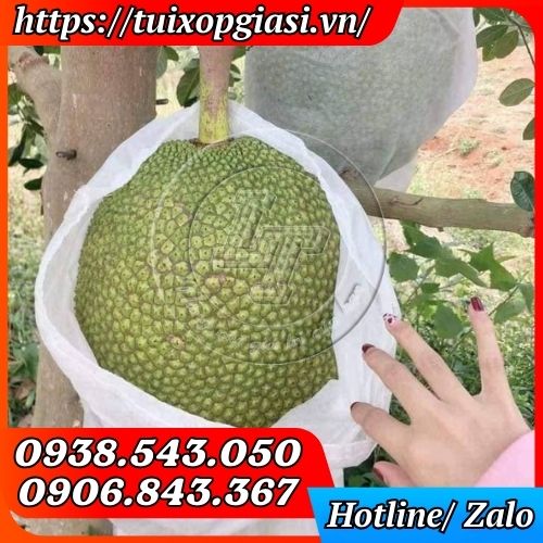 Túi lưới bao mít vải không dệt