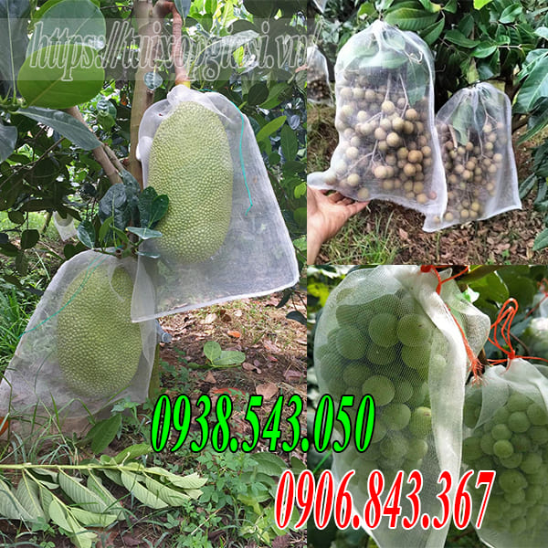 Túi lưới bao trái cây giá rẻ