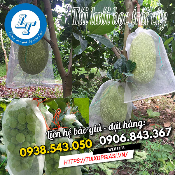 Túi lưới bảo vệ trái cây tránh sâu bệnh, mưa gió Túi lưới bảo vệ trái cây tránh sâu bệnh, mưa gió