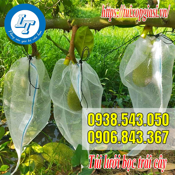 Túi lưới bọc trái cây