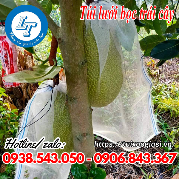 Túi lưới bọc trái cây