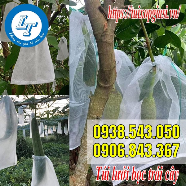Túi lưới bọc trái cây giá rẻ