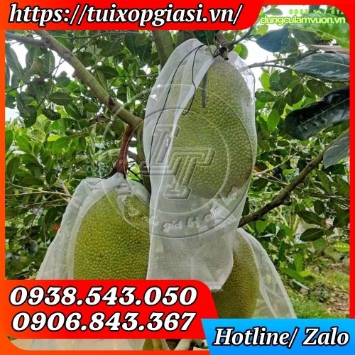 Túi lưới cước bao mít