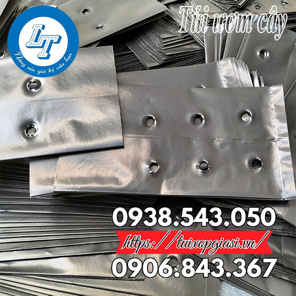 Túi ươm cây giá rẻ