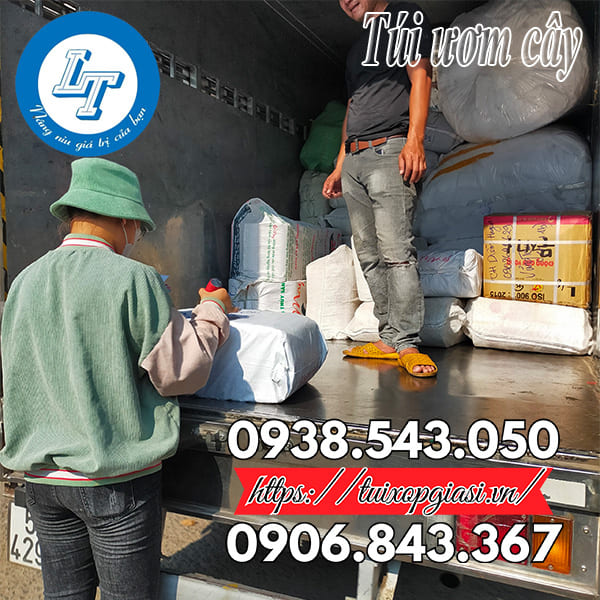 Túi ươm cây giá rẻ