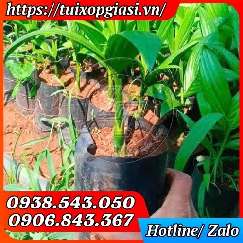 Túi ươm cây nông nghiệp