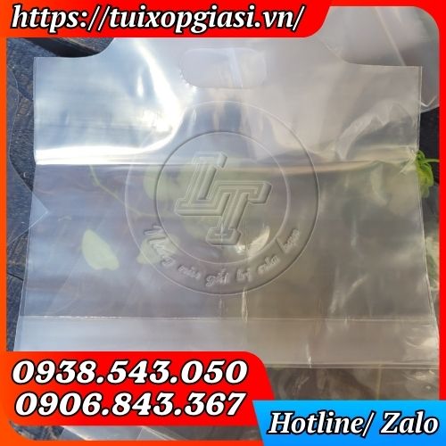 Túi vách ngăn 2 ly trong suốt