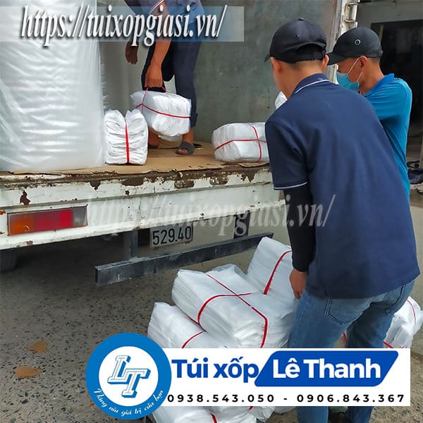 Túi xoài pe màu in hình giá sỉ