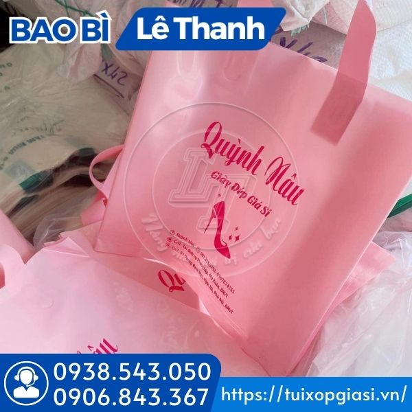 Túi xoài quai ép in hình