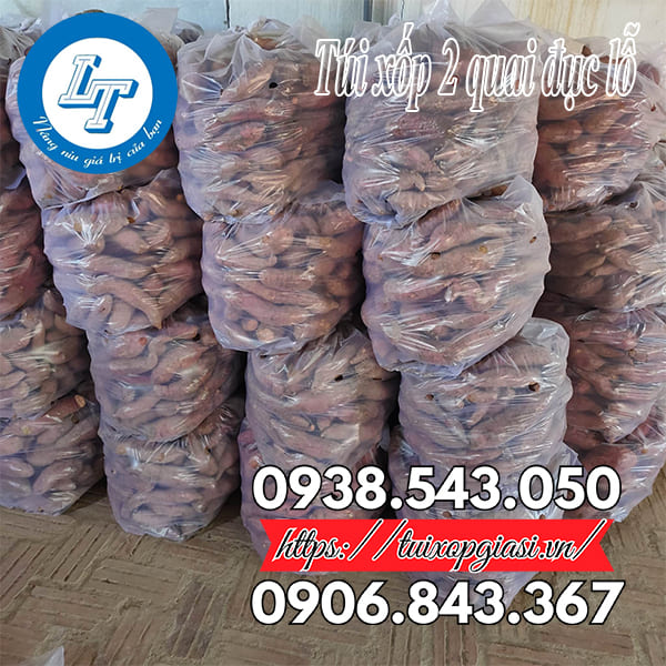 Túi xốp 2 quai đục lỗ đựng rau củ quả Túi xốp 2 quai đục lỗ đựng rau củ quả