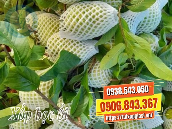 Xốp bao ổi giá rẻ tphcm
