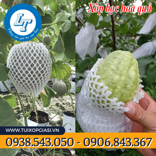 Xốp bọc hoa quả