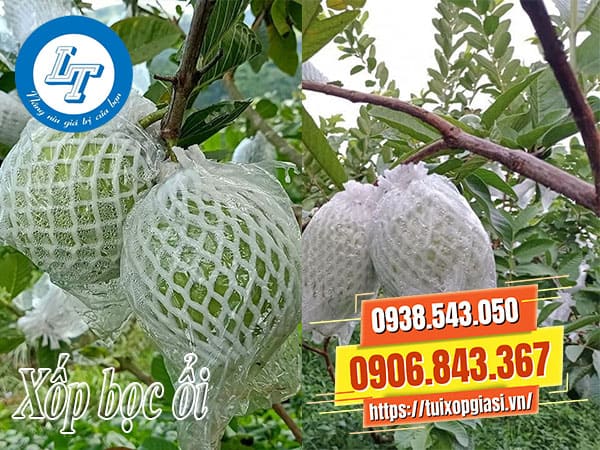 Xốp bọc ổi giá rẻ tận xưởng