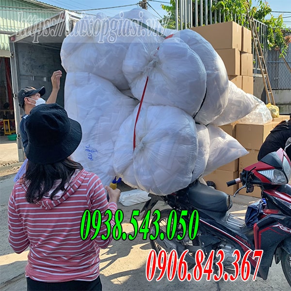 Xốp bọc ổi lồng sẵn