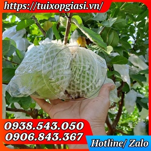 Xốp bọc ổi lồng sẵn