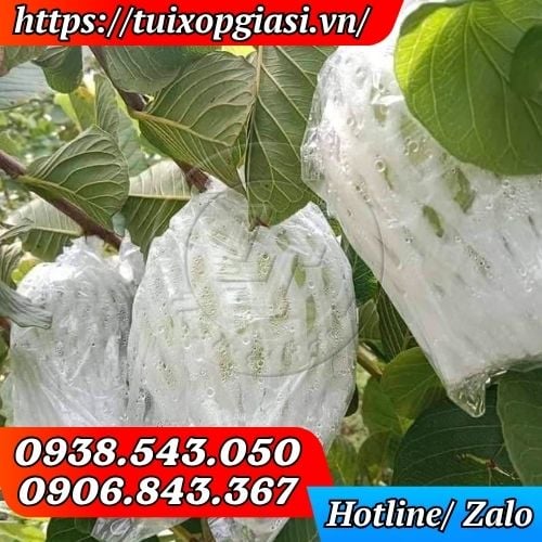 Xốp bọc ổi lồng sẵn
