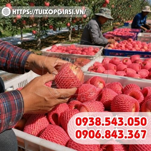 Xốp bọc táo cho nhà vườn và vựa trái cây