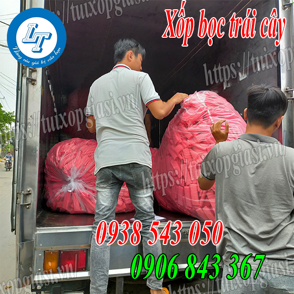 Xốp bọc trái cây