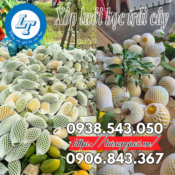 Xốp lưới giúp bảo vệ trái cây trong quá trình vận chuyển Xốp lưới giúp bảo vệ trái cây trong quá trình vận chuyển