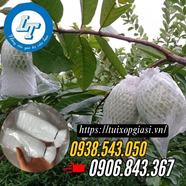 Xưởng sỉ xốp bọc ổi lồng sẵn